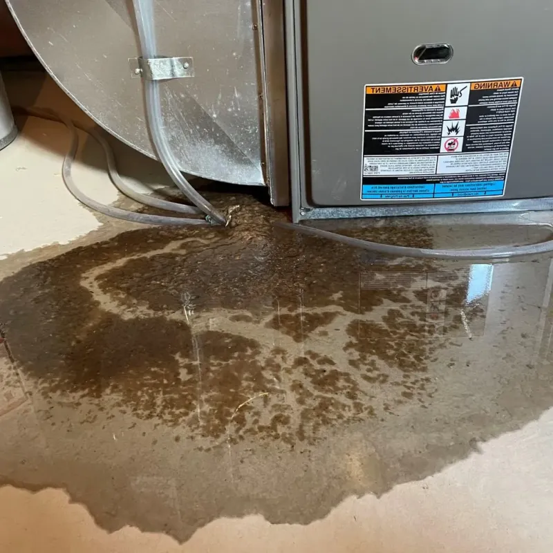 Pipe Burst and Leak Restoration in New Hampton, IA