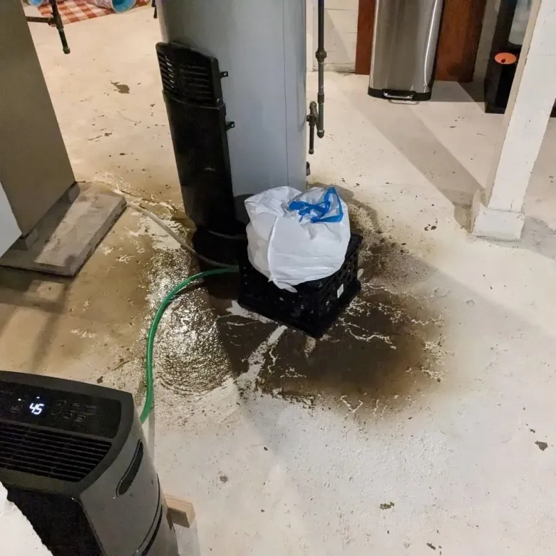 Sewage Backup Cleanup Service in New Hampton, IA